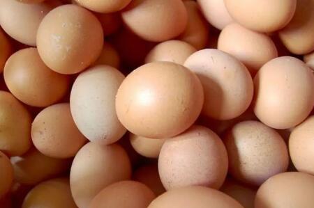 蛋價(jià)觸底反彈 淡季就此結(jié)束？
