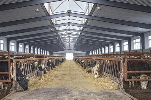 中國獸醫(yī)藥品監(jiān)察所舉辦獸藥殘留檢測技術(shù)培訓(xùn)班