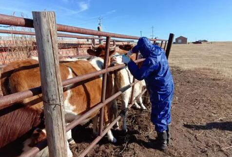 全國獸醫(yī)實(shí)驗(yàn)室生物安全與能力建設(shè)工作研討會(huì)順利召開