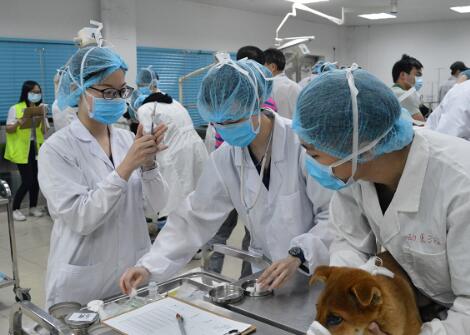 中國獸醫(yī)協(xié)會(huì)與西藏自治區(qū)農(nóng)業(yè)農(nóng)村廳聯(lián)合舉辦2023年度西藏自治區(qū)重點(diǎn)人獸共患病防控會(huì)議