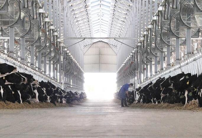 山東得益乳業(yè)股份有限公司招聘獸醫(yī)主管