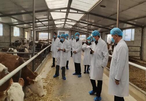 陜西省飼料總站實(shí)地調(diào)研獸用抗菌藥減量使用情況