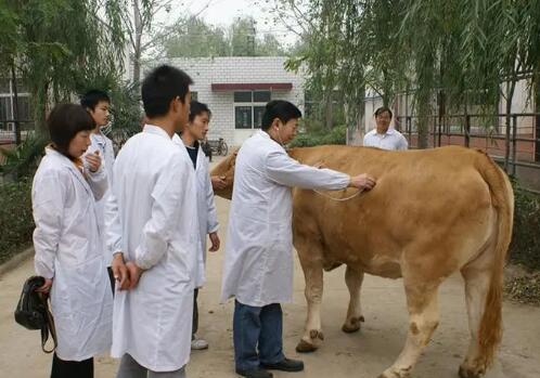 中國獸醫(yī)藥品監(jiān)察所在云南開展“科學(xué)使用獸用抗菌藥 助力畜牧業(yè)高質(zhì)量發(fā)展”科技下鄉(xiāng)活動(dòng)