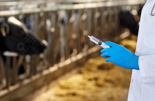 中國獸醫(yī)藥品監(jiān)察所公布《獸藥比對試驗(yàn)要求修訂內(nèi)容征求意見稿》