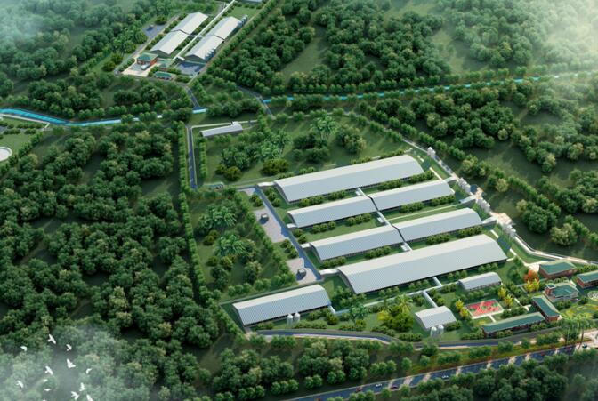 海南農(nóng)墾草畜豬業(yè)有限公司招聘豬場技術(shù)員