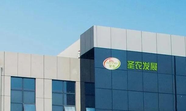 肉雞收入最高上升138.94%！福建圣農、廣東溫氏、寧夏曉鳴、山東益生、江蘇立華、山東民和、山東仙壇等11月肉雞銷售情況