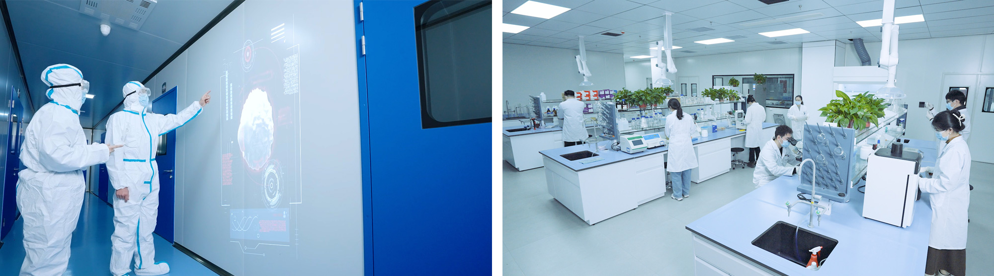 山東寶來利來集團白羽肉雞事業部招聘區域大客戶經理