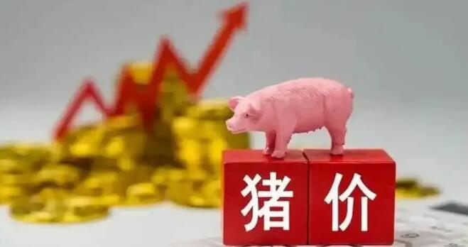 豬價開門紅！25省上漲，局地沖擊9元大關！